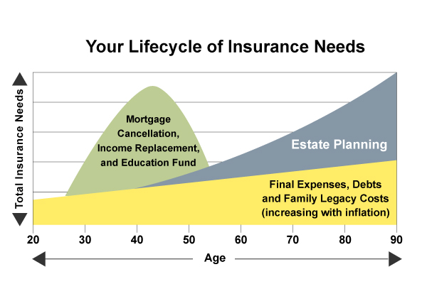 life cycle of insurance needs