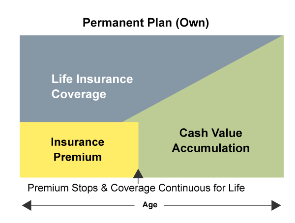 owning permanent life insurace